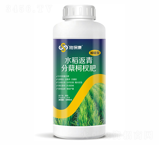 1000ml加硅型水稻返青分蘗柯杈肥-施?？? style=