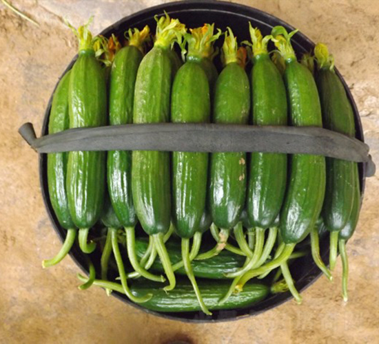 �A��һ̖-�S�ϷN��-�A���N��