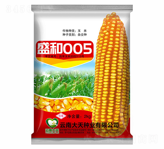 ���׷N��-ʢ��005-����N�I(y��)