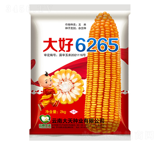 ���׷N��-���6265-����N�I(y��)