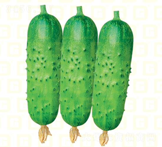 �¸���ͯ�S��-�S�ϷN��-�¸߷N�I(y��)