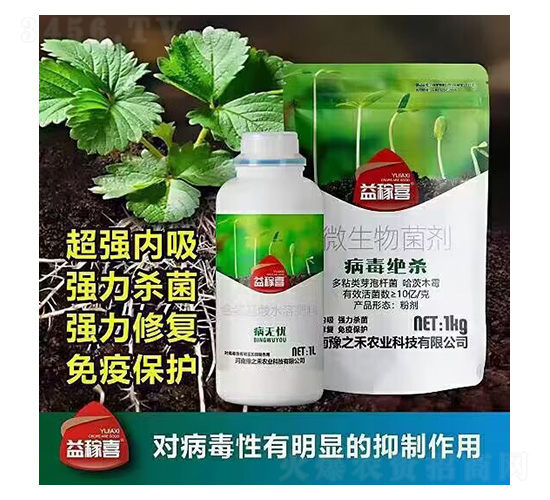 ���o�n+�����^��-���ϲ-ԥ֮��