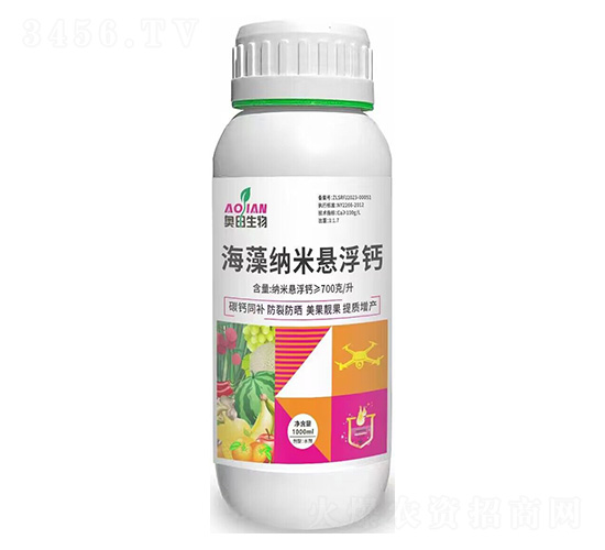 ����{�בҸ��}-�W������