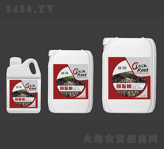 ���l(f��)��-�׵��r(n��ng)�I(y��)