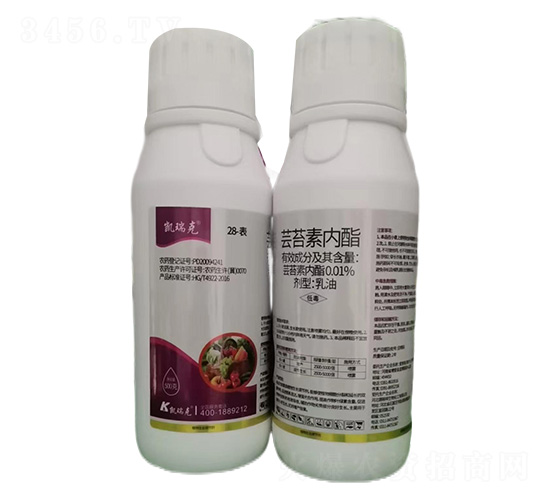 500���|̦�؃�(n��i)��-�P���