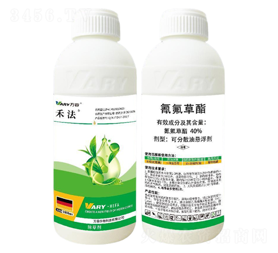 40%�������-�̷�-�f��