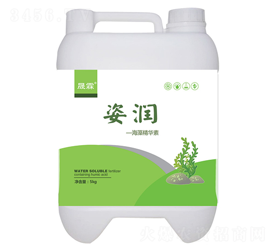 �˝�(r��n)���徫�A��-��������