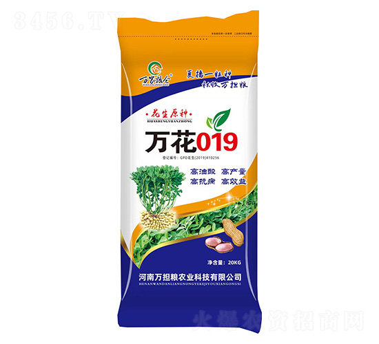 萬花019-花生種子-萬擔(dān)糧