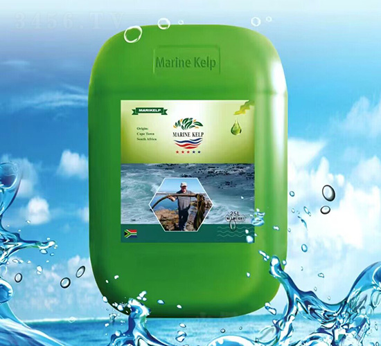 25L南非海藻濃縮液-大洋藻業(yè)