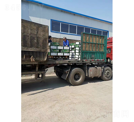 ��Ʒ����(4)