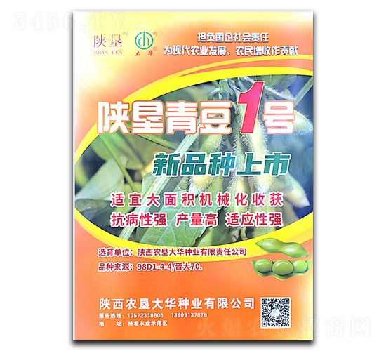 陜墾青豆1號(hào)-大豆種子-陜墾大華