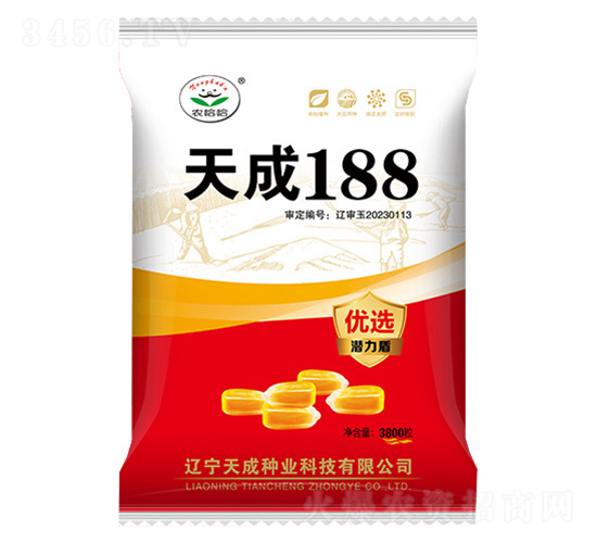 玉米種子-天成188-農(nóng)哈哈-天成種業(yè)