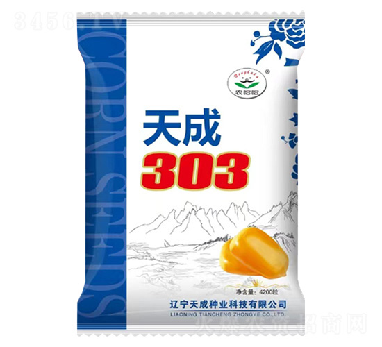 玉米種子-天成303-農(nóng)哈哈-天成種業(yè)