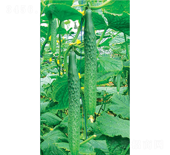 �ɶ����O��-�S�ϷN��-�͝��r(n��ng)�I(y��)