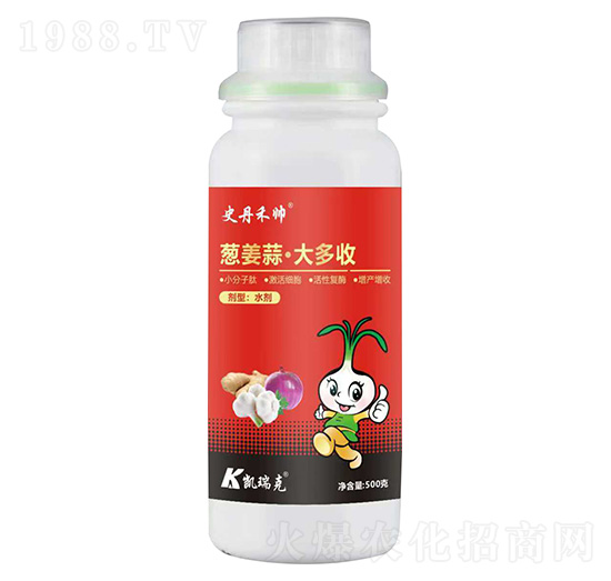 �[���⡤�����-ʷ���̎�-�P���