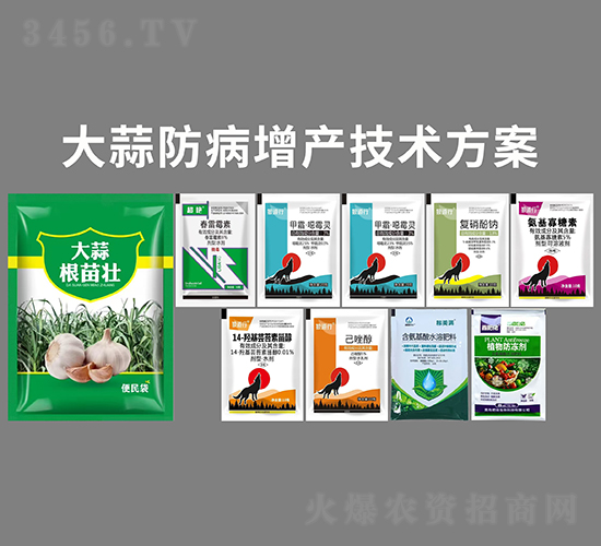 大蒜防病增產(chǎn)技術(shù)方案-凱田樂