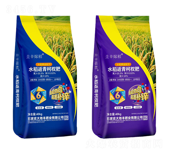 水稻返青柯杈肥-圭辛嫁稻-大地豐