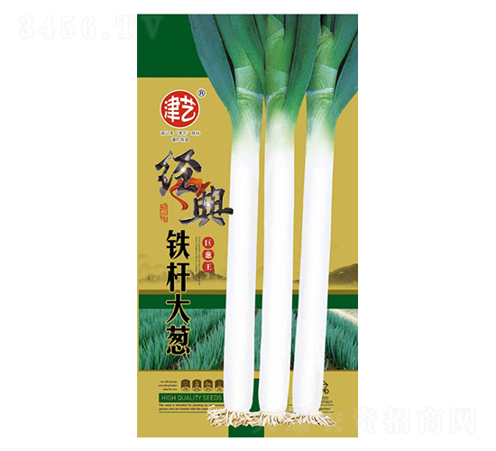 大蔥種子-鐵桿大蔥-邯豐農(nóng)業(yè)