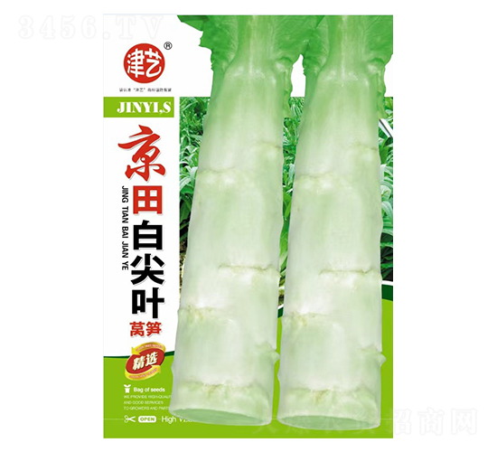 萵筍種子-京田白尖葉-邯豐農(nóng)業(yè)