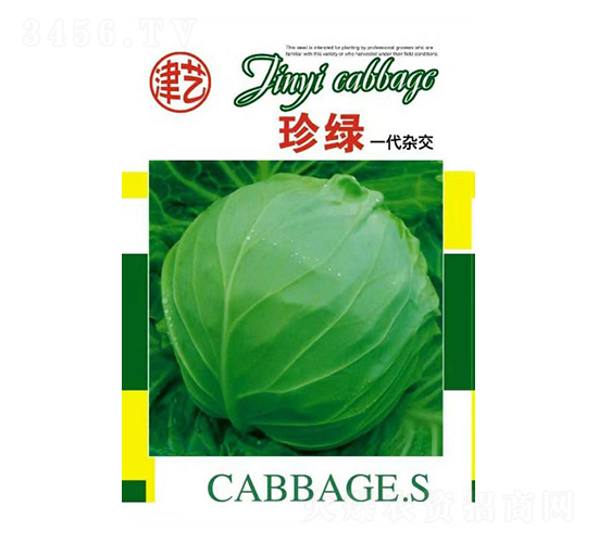 甘藍(lán)種子-珍綠-邯豐農(nóng)業(yè)