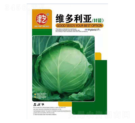 甘藍種子-維多利亞-邯豐農(nóng)業(yè)