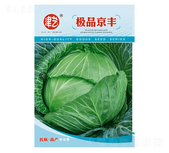 甘藍(lán)種子-京豐-邯豐農(nóng)業(yè)