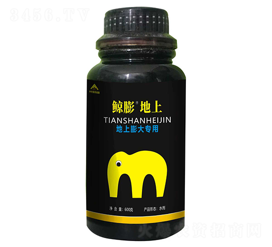 鯨膨地上-中特煤