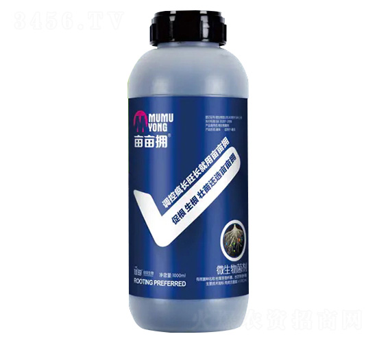 ΢�������-������-�^�ȴ���-��������