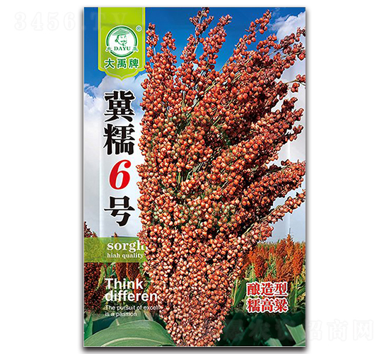 冀糯6號(hào)高粱種子-大禹種業(yè)