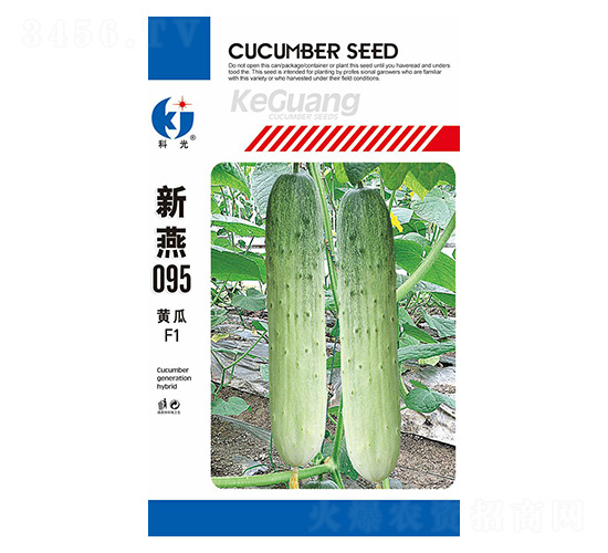 新燕095-科光種苗