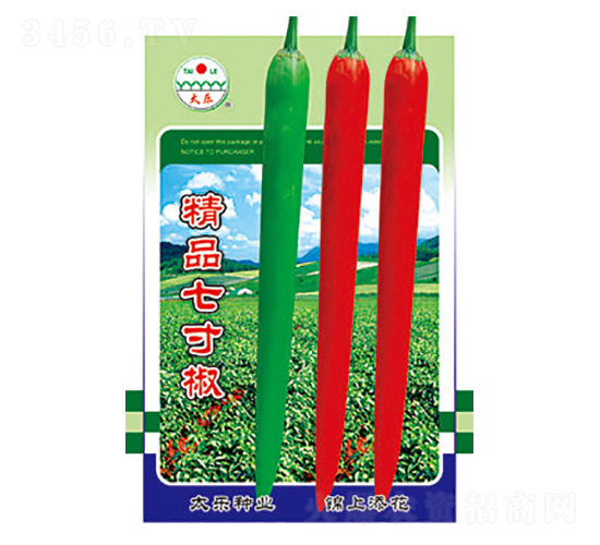 辣椒種子-精品七寸椒-太樂種業(yè)