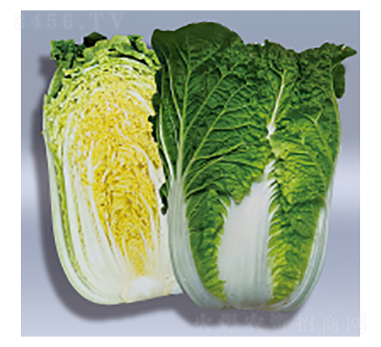 ��ײ˷N��-�伪-�A孷N�I(y��)