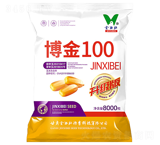 博金100-玉米種子-金西北種業(yè)