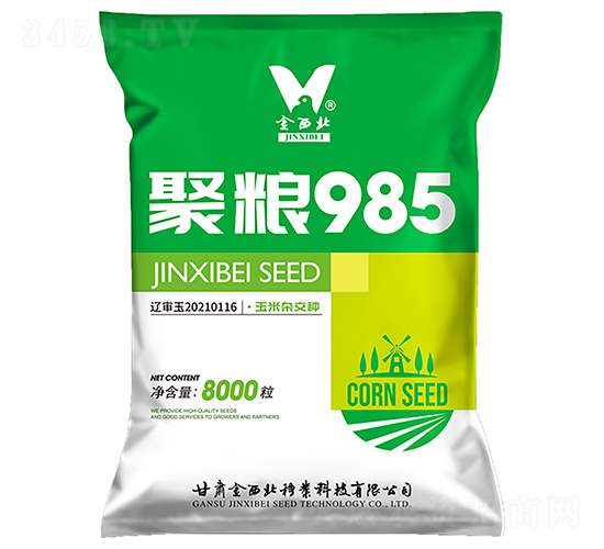 聚糧985-玉米種子-金西北種業(yè)