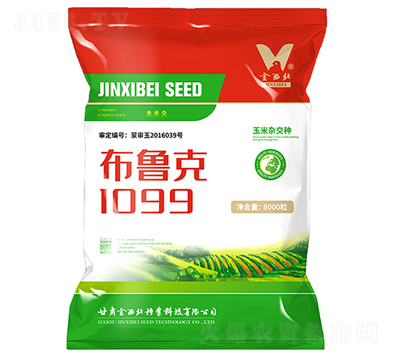 布魯克1099-玉米種子-金西北種業(yè)