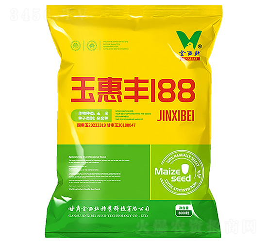 玉惠豐188-玉米種子-金西北種業(yè)