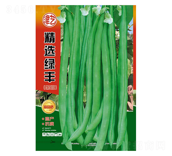 豆角種子-精選綠豐-邯豐農(nóng)業(yè)