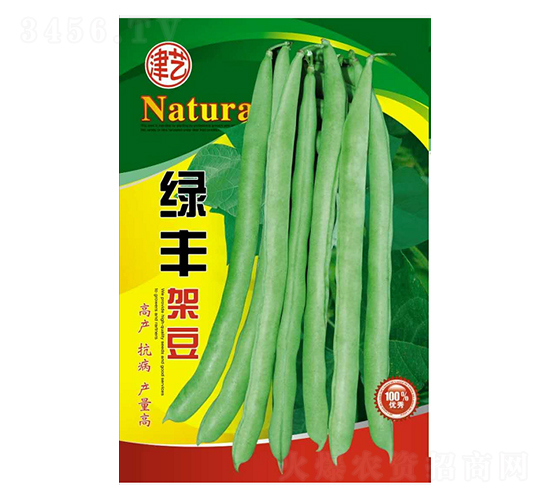 豆角種子-綠豐豆架-邯豐農(nóng)業(yè)