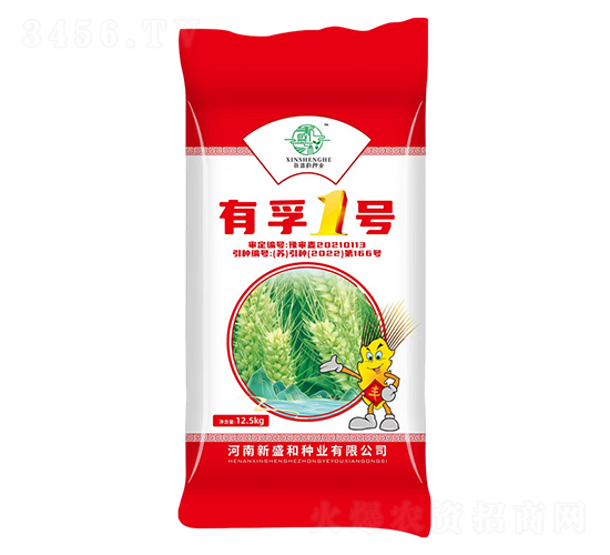 小麥種子-有孚1號-新盛和種業(yè)