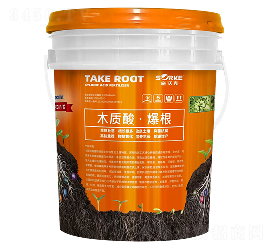 木質(zhì)酸·爆根-施沃克