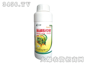 �S��-���ǰ�����