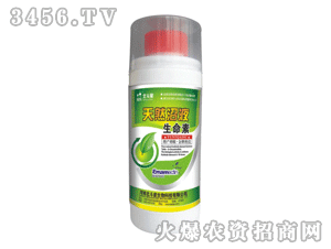 ������-��Ȼ��Һ������