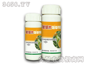 ̩�-����׳��݄�