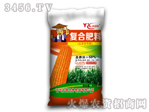 �rϲ-���d����S-50%���׌��ÏͺϷ�26-12-12