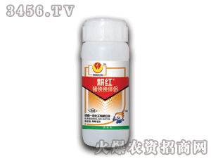 ���t-�i����