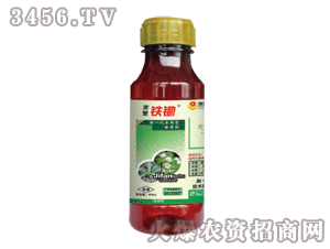 ̩�-�深�F�z