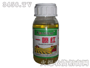 �~���-һ���t