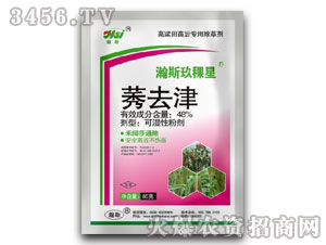 48%ݬȥ��-�˹������