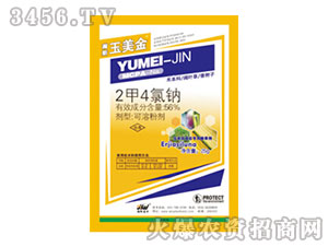 56%2��4���c-�˹������