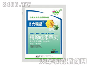 ���f��̲��`-�˹������